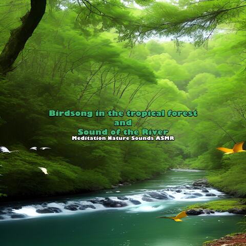 Birdsong in the Tropical Forest and Sound of the River