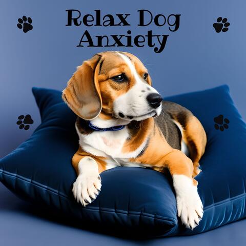 Relax Dog Anxiety: Calm and Relaxing Music for Dogs