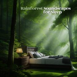 Rainforest Soundscapes