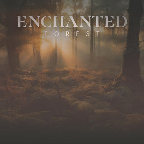 Enchanted Forest: Meditative Nature Sounds for Immersive Relaxation and Mental Clarity