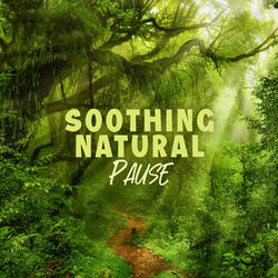 Pause for Relax