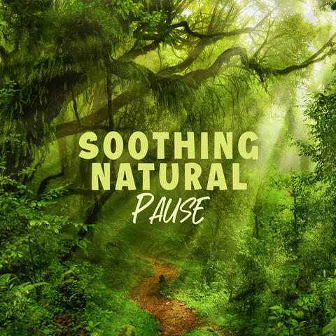 Soothing Natural Pause: Tranquil Noises of the Jungle