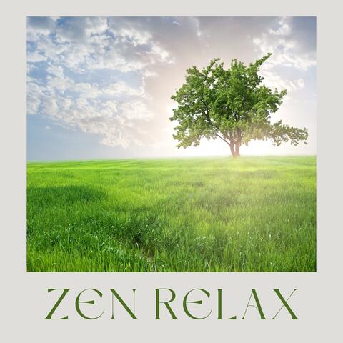 Suoni rilassanti della natura: pioggia, onde del mare, canto degli uccelli - musica per meditazione e benessere