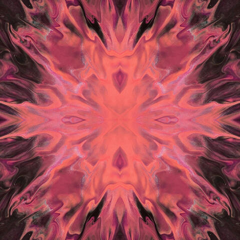 Frightened Rose