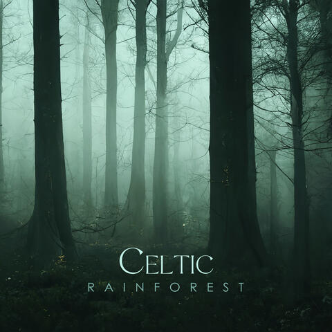 Celtic Rainforest: Fantasy Instrumental Music, RPG Background Music, Board Games Songs, Reading Melodies