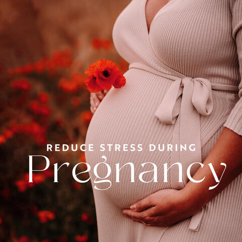 Reduce Stress during Pregnancy