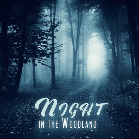 Night in the Woodland: Deep Sleep Meditation, Forest Dreaming, Relaxing Night Sounds of Crickets