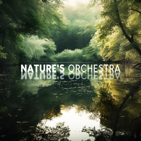 Nature's Orchestra: Tranquil Sounds of Gaia