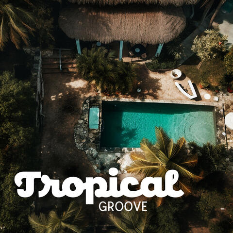 Tropical Groove: Chill Vibes for House Party