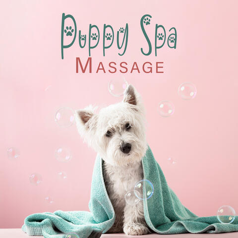 Puppy Spa Massage: Relaxation for Pets, Soothing Spa for Dogs, Puppy Wellness