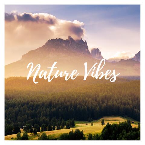 Nature Vibes: Serene Soundscapes for Relaxation and Meditation