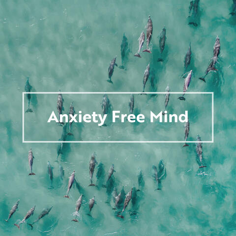 Anxiety Free Mind: Piano & Dolphin Sounds for Stress Free Day