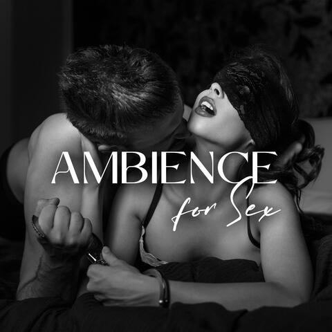 Ambience for Sex: Moody Beats for Foreplay, Makinglove and Sensual Nights