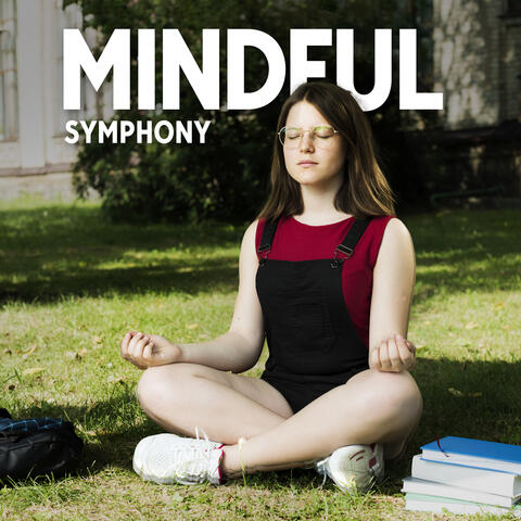 Mindful Symphony: Serene Meditation for Teachers and Students