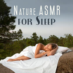 To Make You Fall Asleep