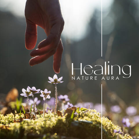 Healing Nature Aura: Natural Relaxing Sanctuary, Breathing Focus, Earth's Embrace