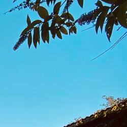 Drive all night (Instrumental)