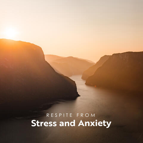 Respite from Stress and Anxiety: Kalimba Music Therapy for Total Calmness and Harmony of Mind