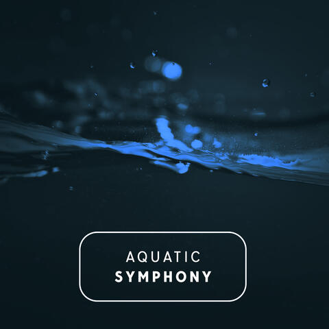 Aquatic Symphony: Soothing Waters for Stress Relief