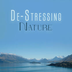 Wonderful Morning Mindfulness