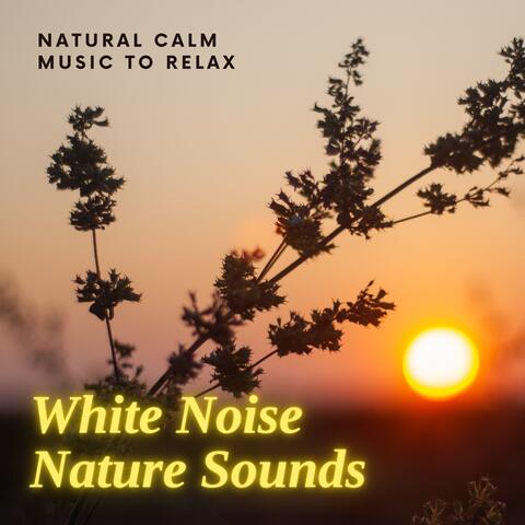 White Noise Nature Sounds - Natural Calm Music to Relax
