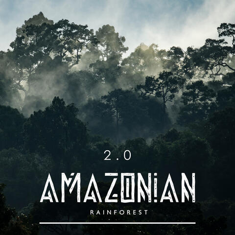 Amazonian Rainforest 2.0