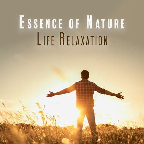 Essence of Nature Life Relaxation: Soothing Birds and Water Sounds