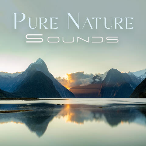 Pure Nature Sounds: Gentle Nature Sounds for Purification for Bad Stress