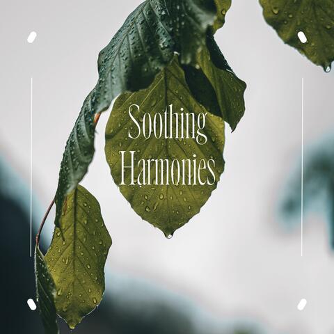 Soothing Harmonies: Vibrant Healing Tones & Frequencies for Ultimate Relaxation