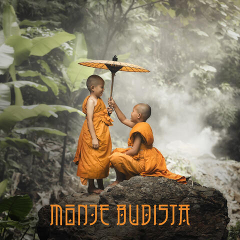 Monje Budista: Meditación para la Sabiduría, la Concentración y la Tranquilidad
