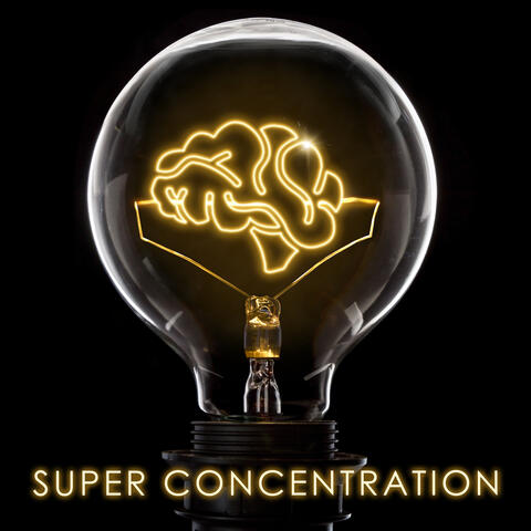 Super Concentration: Unlock the Power of Your Mind