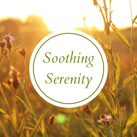 Soothing Serenity: Relaxing Melodies for a Calm Mind and Body Oasis