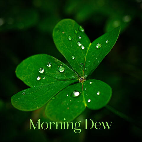Morning Dew: Celtic Relaxation Music