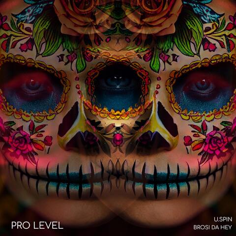 Pro Level