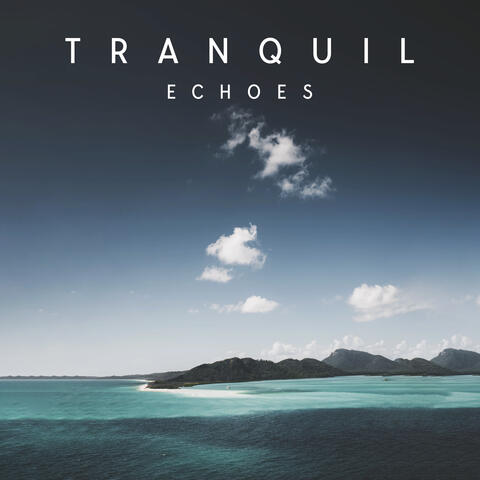 Tranquil Echoes: Harmonic Vitality & Inner Calm