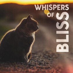 Little Kitty Lullaby