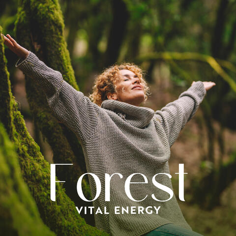 Forest Vital Energy: Meditation in the Woodland, Connection with Nature, Grounding, Positive Energy Yoga