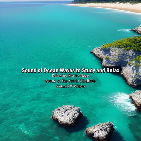 Sound of Ocean Waves to Study and Relax