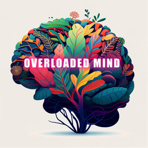 Overloaded Mind: Muziek om je Geest te Kalmeren en in Jezelf te Kijken