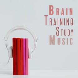 Working With Lo-Fi Music