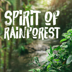 Spirit of Amazonian Forests