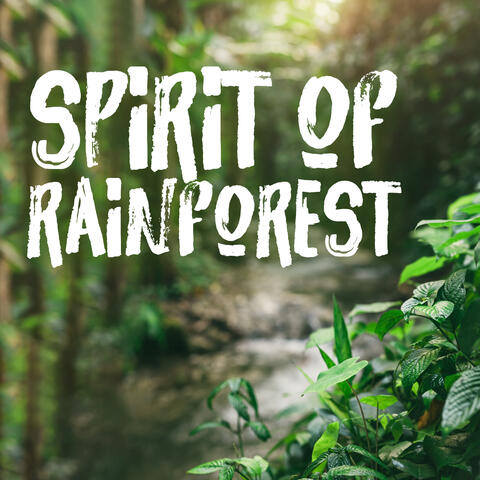 Spirit of Rainforest: Beautiful and Unbridled of Nature