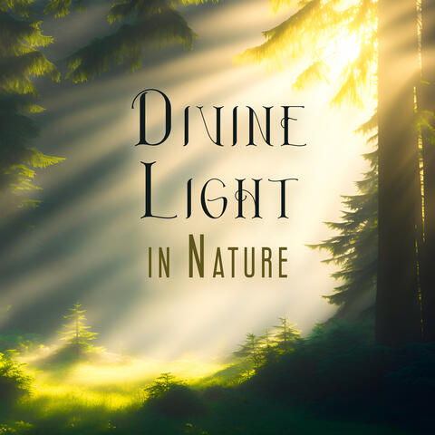 Divine Light in Nature: Feel Powerful to Transform Yourself