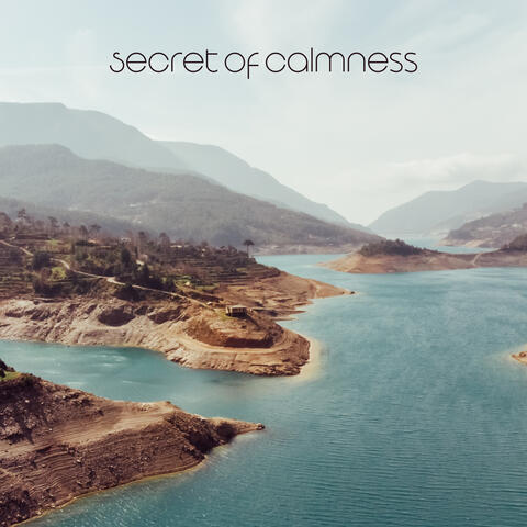 Secret of Calmness: Therapeutic Sounds of Nature & Piano