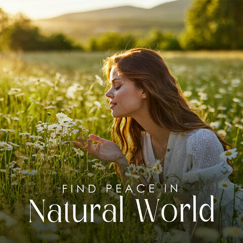 Find Peace in Natural World
