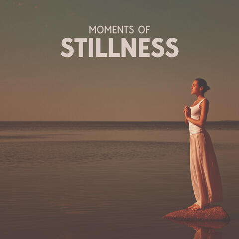 Moments of Stillness: Finding Beauty in Pause