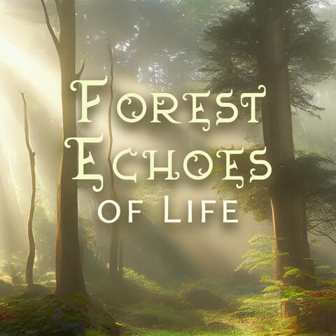 Forest Echoes of Life: Calming Nture Music, Pure Wildlife