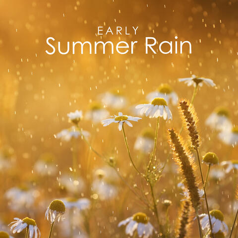 Early Summer Rain: Take a Mindful Moment with Nature and Connect with Your Senses