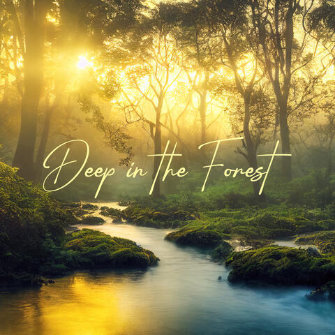 Deep in the Forest: Peaceful Nature Oasis for Relaxation & Relief from Intrusive Thoughts