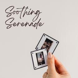 Dreaming Under the Stars